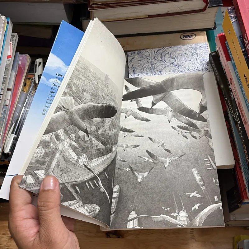 II Tựa sách: Chuyện Con Mèo Dạy Hải Âu Bay - LUIS SEPÚLVEDA - 2018 696010