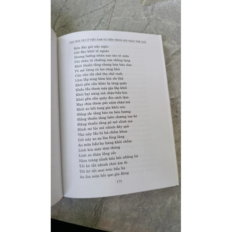 VĂN HOÁ TÀY Ở VIỆT NAM VÀ TIẾN TRÌNH HỘI NHẬP THẾ GIỚI - DƯƠNG THUẤN 789751