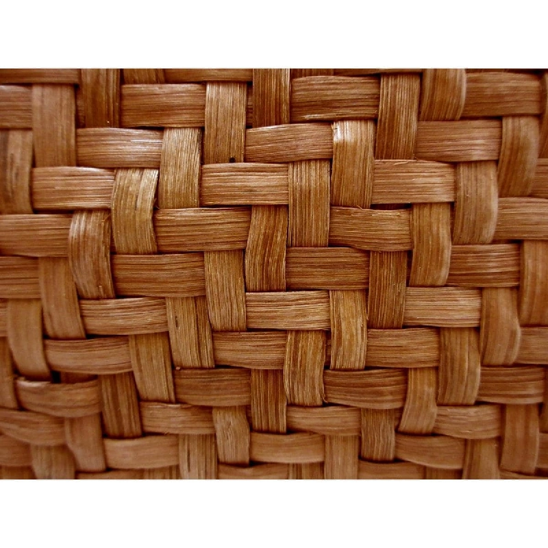 Túi nho núi - Hàng hiệu Authentic 878235