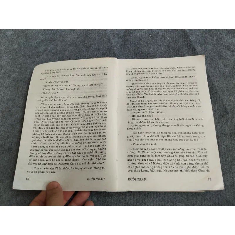 RUỒI TRÂU - ETELLE LILIAN VOYNICH 574651