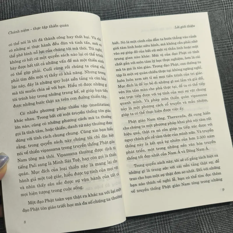Chánh niệm - Thực tập Thiền quán - TT. Henepola Gunaratana - Dịch giả Nguyễn Duy Nhiên 606547