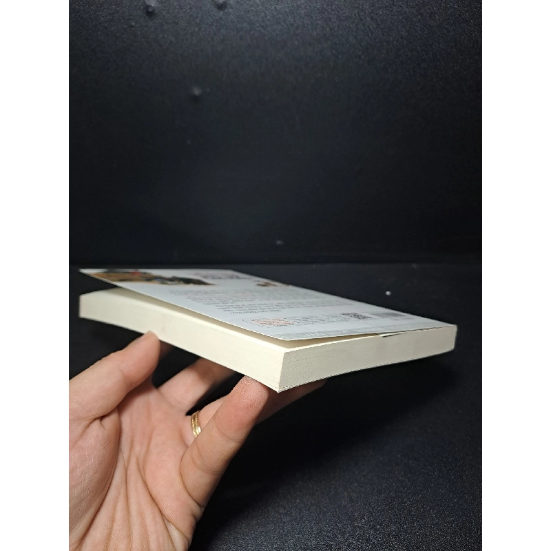 Yến Tử mưu lược Tung Hoành Quá Diệc Lâm mới 90% 2016 HCM2609 912335