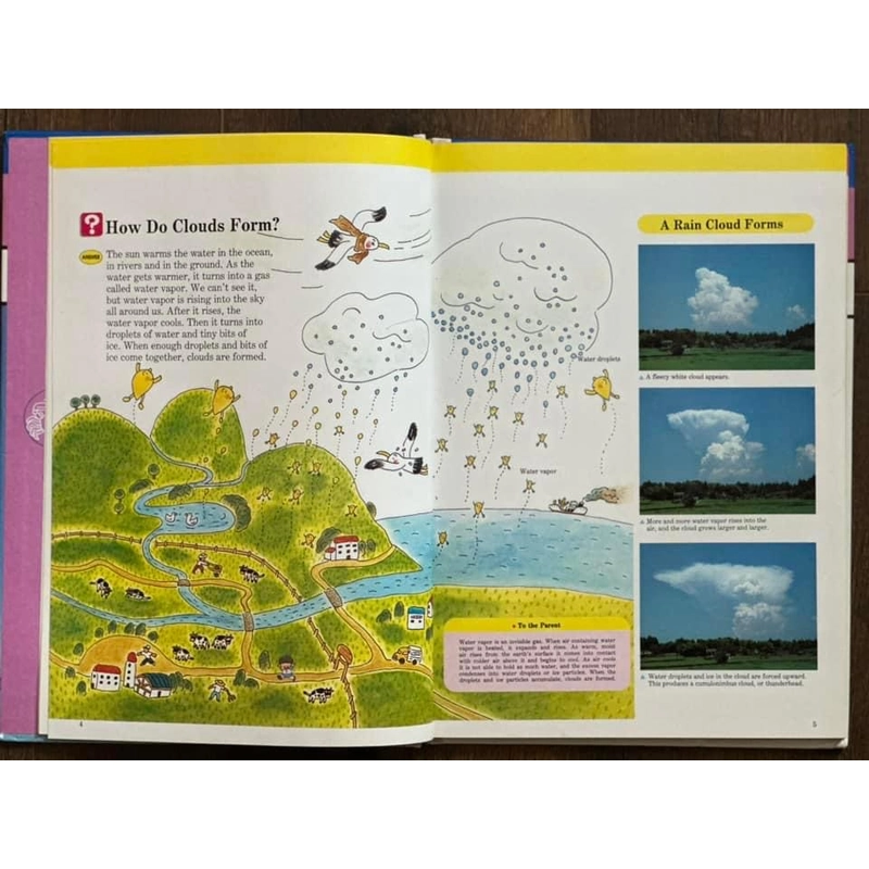 [Bìa cứng] A Child's First Library of Learning: Wind and Weather  248892