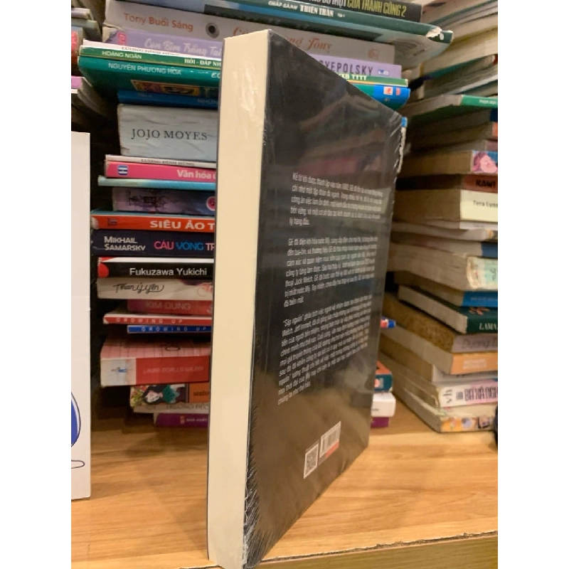 Sập nguồn -Thomas Gryta và Ted Mann 786078