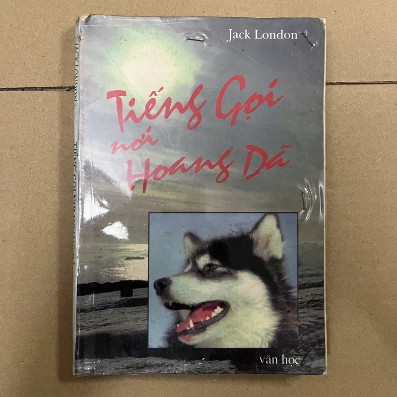 Tiếng gọi nơi hoang dã 569188