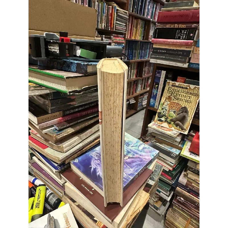 Fashion Brands - Mark Tungate 601785