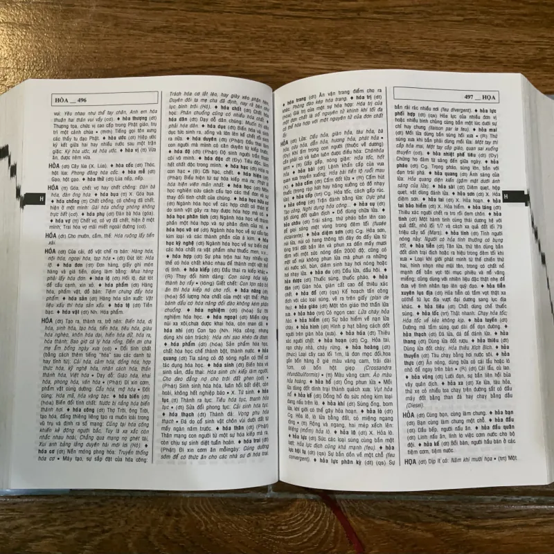 Từ Điển Tiếng Việt - Viện ngôn ngữ (11) 1021294