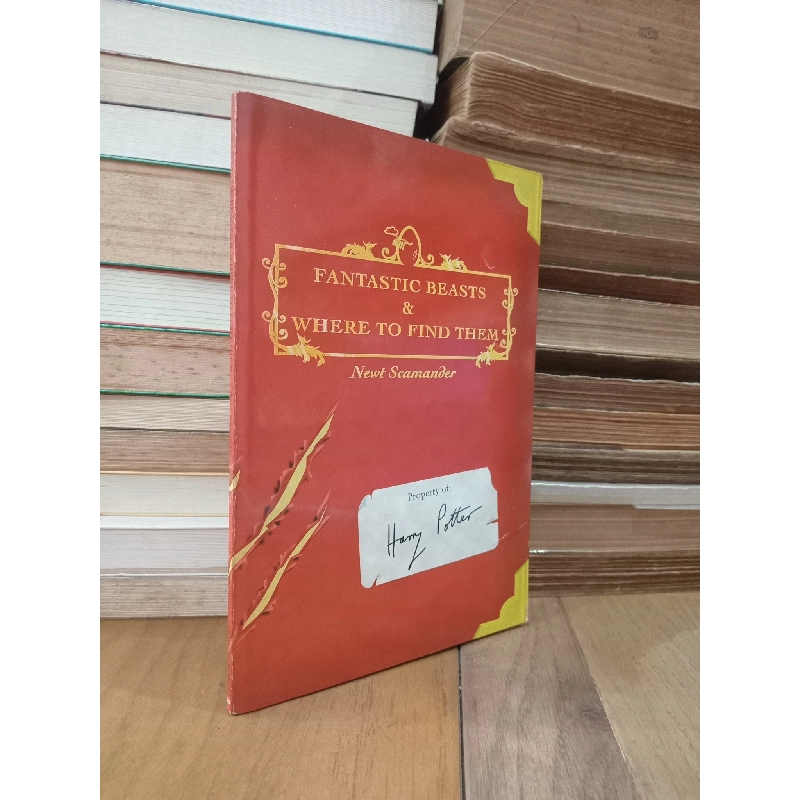 Fantastic beasts & where to find them - Newt Scamander 788241