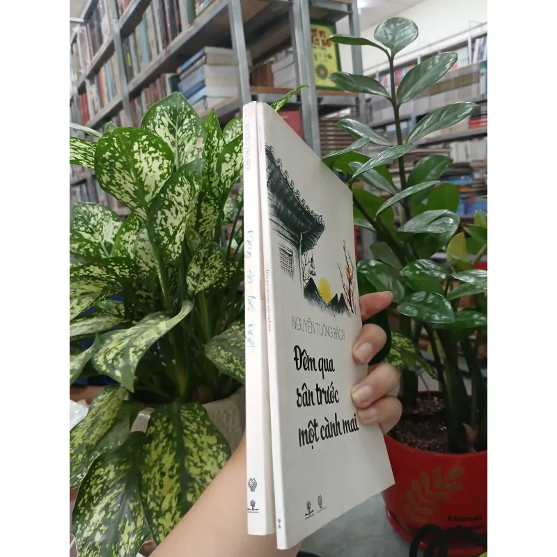 ĐÊM QUA SÂN TRƯỚC MỘT CÀNH MAI + MỘNG ĐỜI BẤT TUYỆT 608114