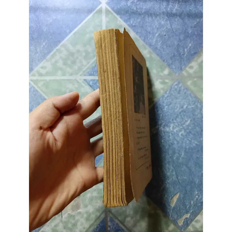 Người tình cũ - Đào Hiếu 998490