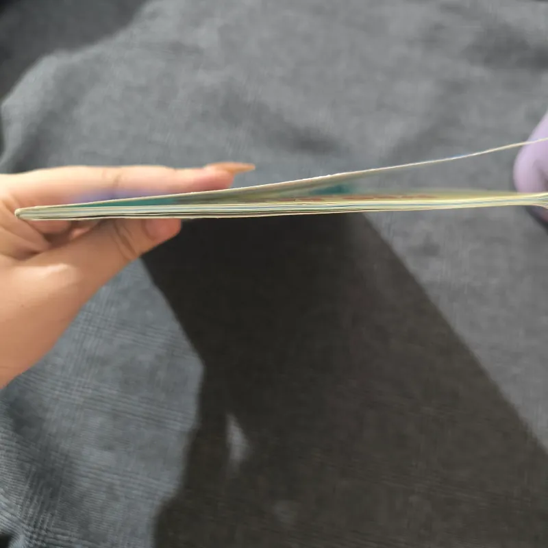 Who Would Win? Killer Whale vs. Great White Shark - Jerry Pallotta 754576