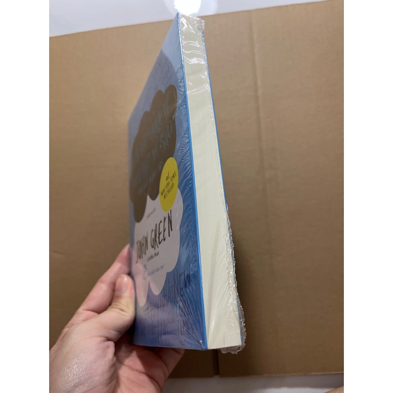 Khi lỗi thuộc về những vì sao 524412