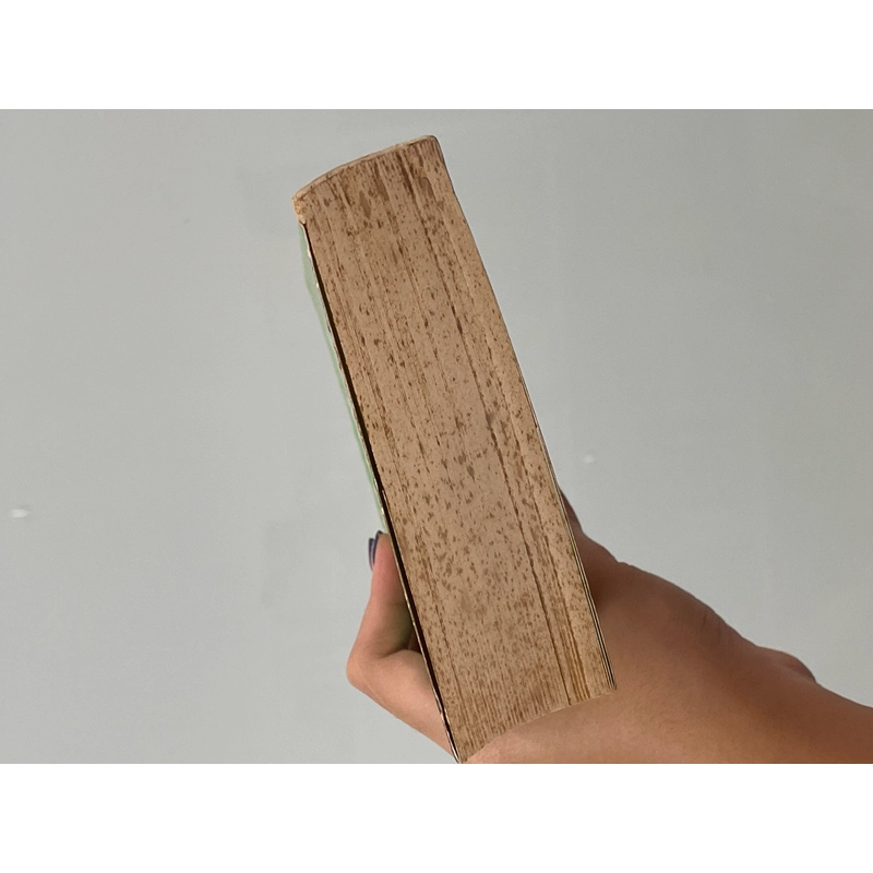 Vì chưa bao giờ kết thúc - Lê Hữu Nam 503355