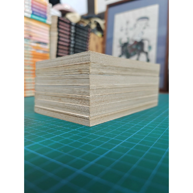 TRUYỆN TRANH CUỐN TỪ ĐIỂN KÌ BÍ 378497