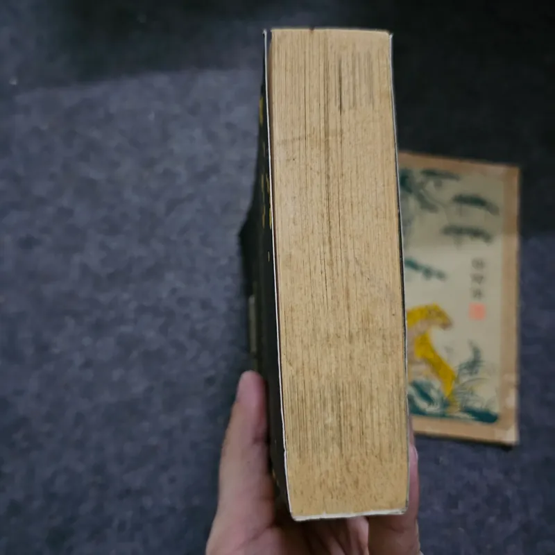 Pride and prejudice 733047