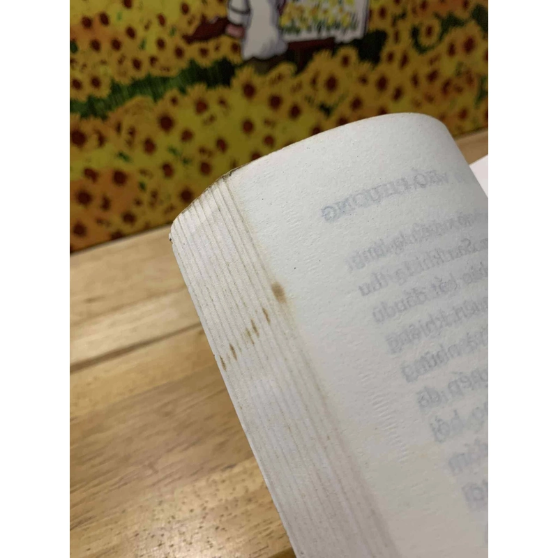 Lá Cơ Chuẩn Đỏ Thắm - Hồ Phương 537903