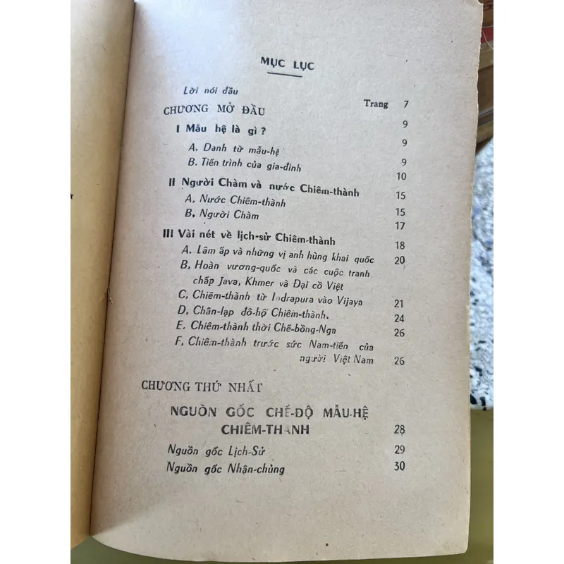 Mẫu hệ Chàm - Nguyễn Khắc Ngữ 592169