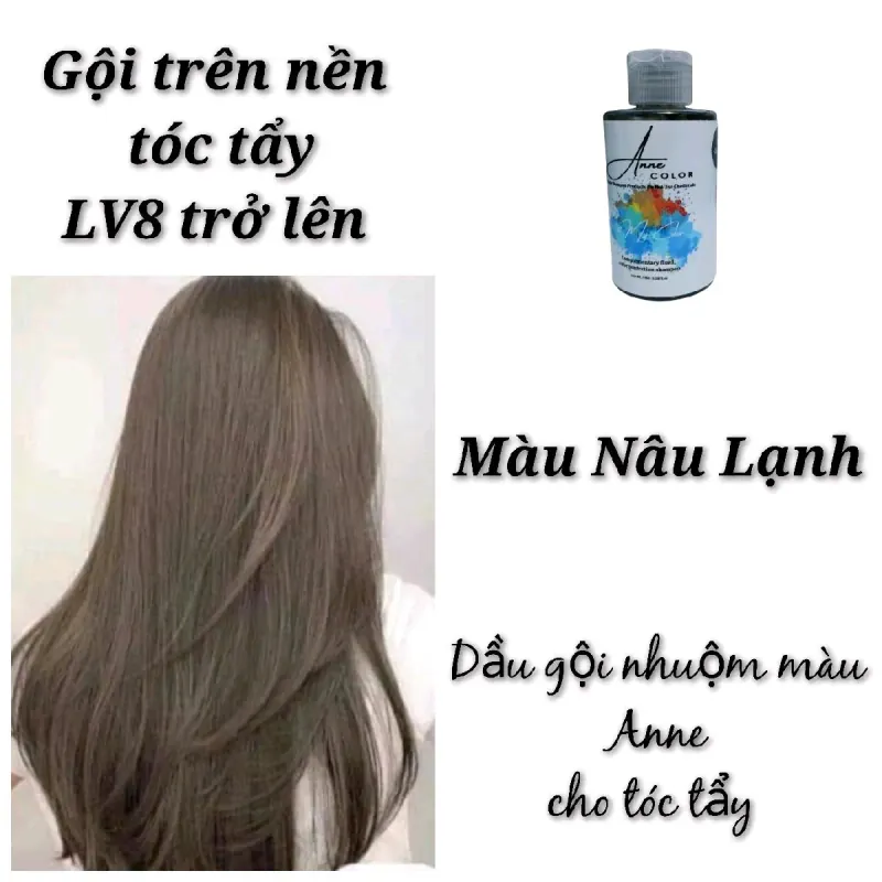 Dầu Gội Bù Màu Anne Dành Cho Tóc Tẩy 100ML 250ML 762688