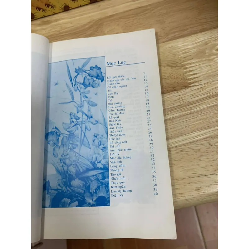 Ngôn Ngữ Của Loài Hoa - Nguyễn Bích Nhã - Châu Nhiên Khanh 754783