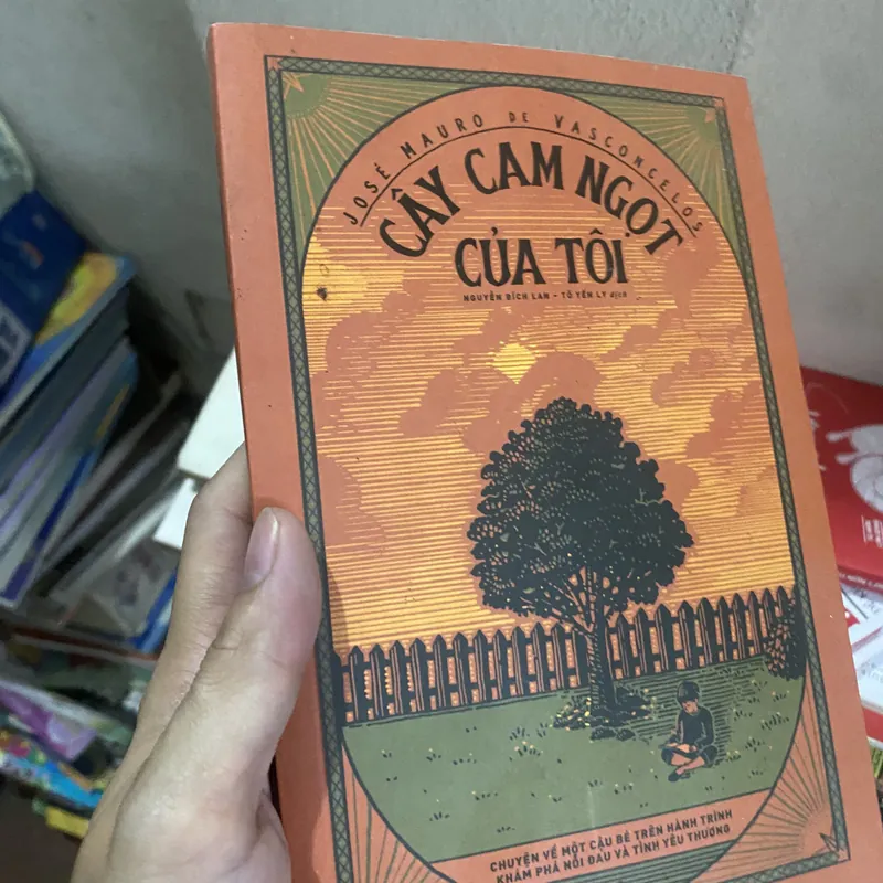 Cây cam ngọt của tôi 5042