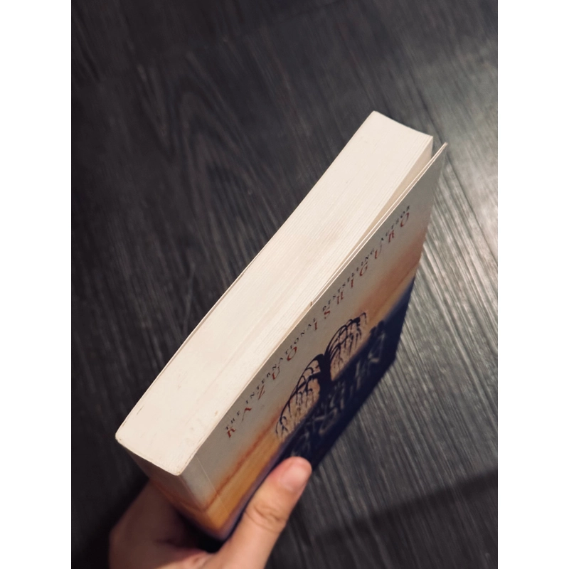 Người khổng lồ ngủ quên 472745