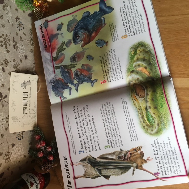 Sách tranh tiếng anh Wild About Fierce Creatures, Used, Bìa cứng 476862