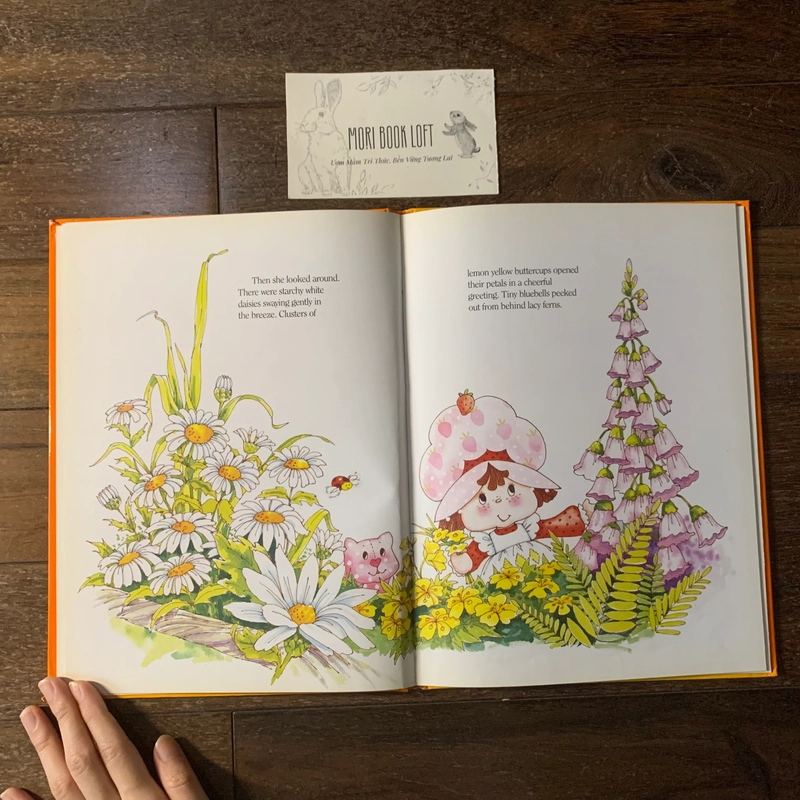 Sách ngoại văn Strawberry Shortcake and the Deep, Dark Woods, Used, Bìa cứng 492669