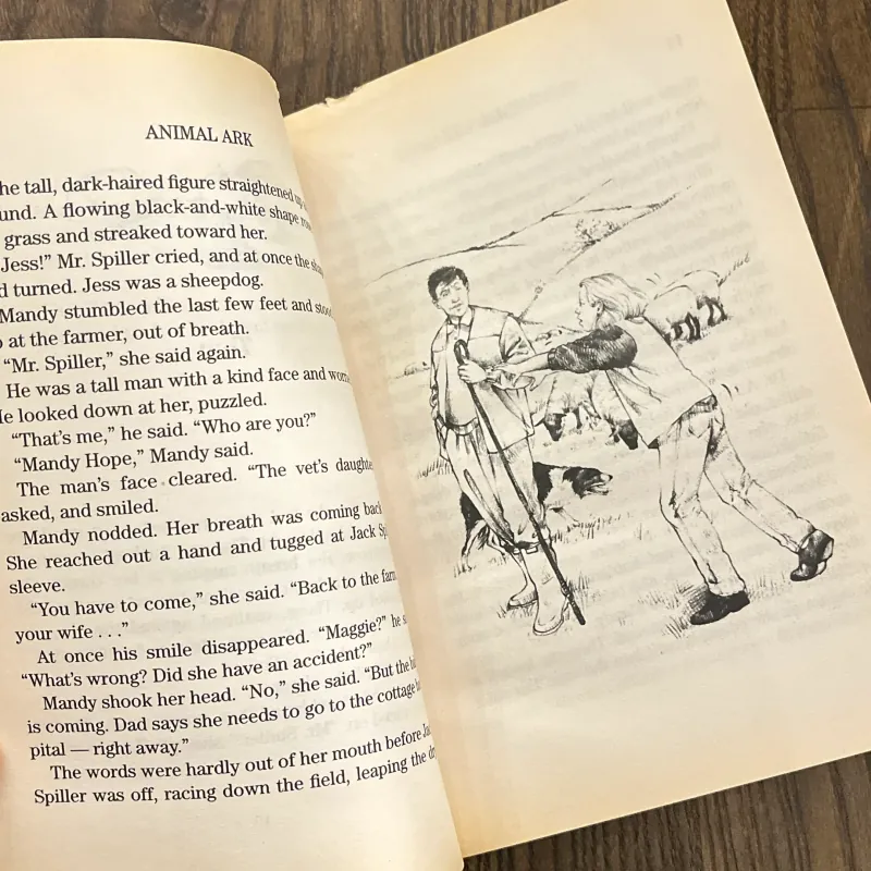 ✨𝑳𝒂𝒎𝒃 𝒊𝒏 𝒕𝒉𝒆 𝑳𝒂𝒖𝒏𝒅𝒓𝒚✨ 689619