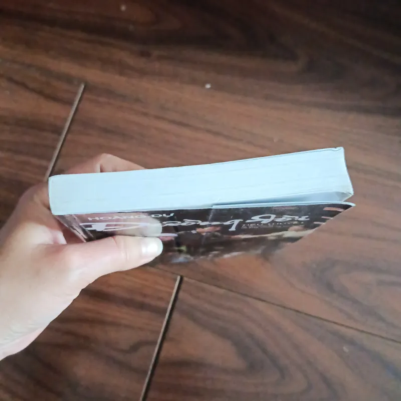 Đường đời - hoàng dự 761801