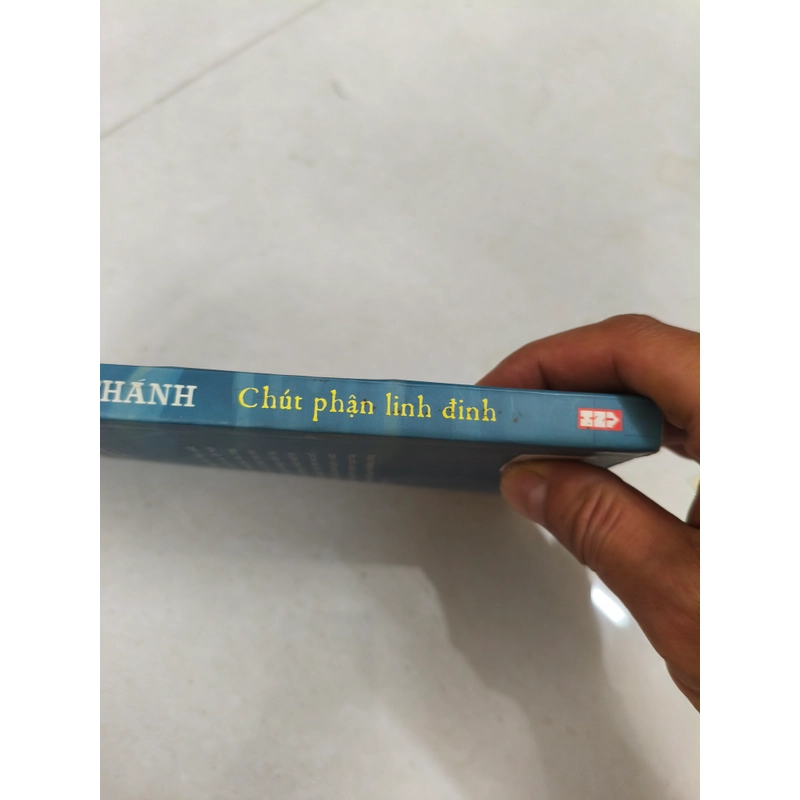 Chút phận linh đinh  413836