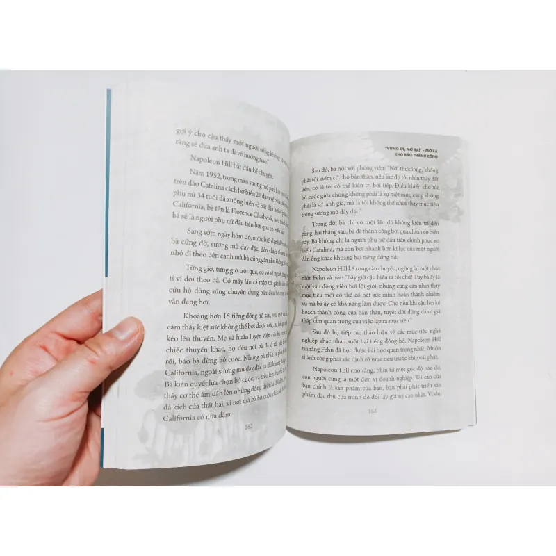 Đá Cuội Hay Kim Cương - Cùng Dale Carnegie Tiến Tới Thành Công 791175