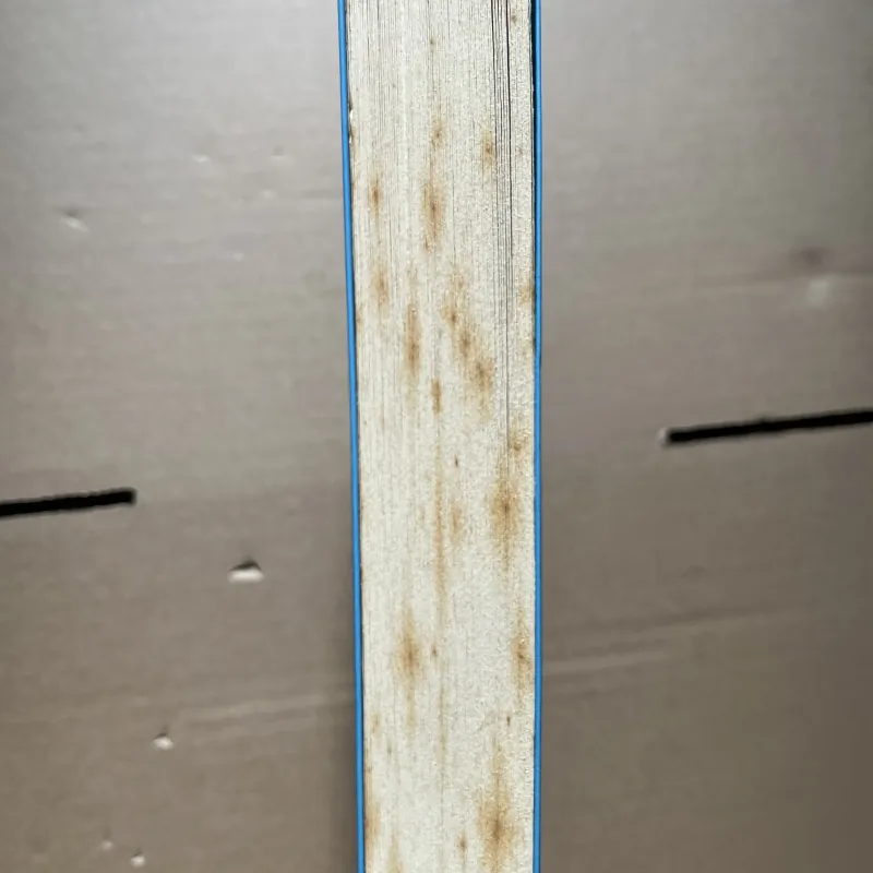 Đường mây qua xứ tuyết 1030332