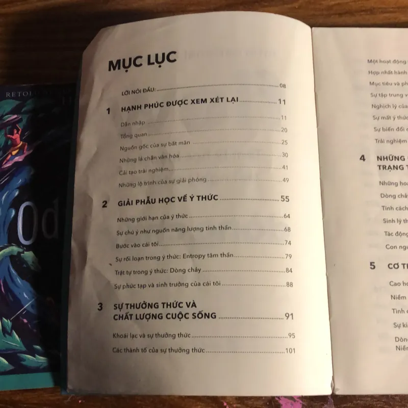 Flow - Dòng chảy, trải nghiệm tối ưu 797669