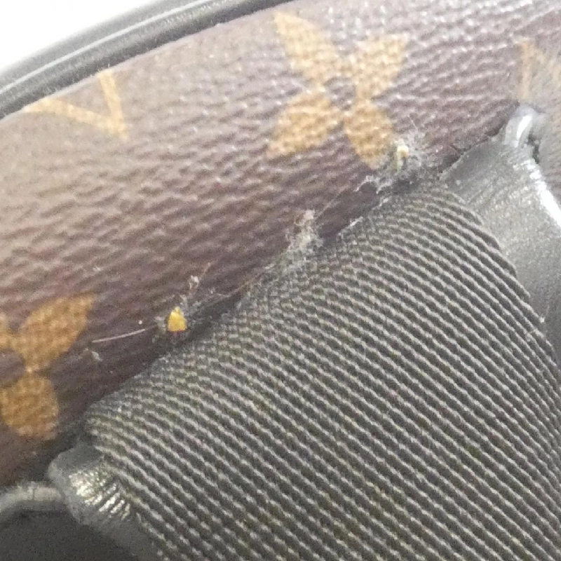Balo Louis Vuitton Monogram Macassar Josh M45349 - Hàng hiệu Chính hãng 764350