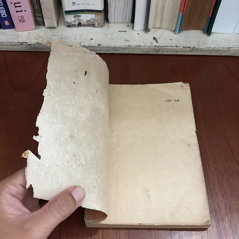 II Sách Xưa: Cất Vó (Truyện Phản Gián) - Đặng Thanh - 1987 599642