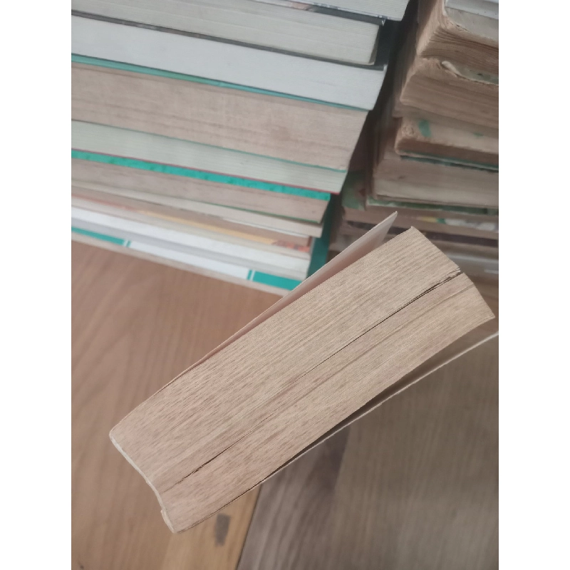 HARRY POTTER Series - J.K. Rowling 198119