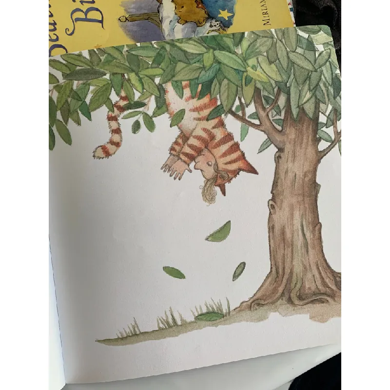 Matilda's Cat – Emily Gravett 561098
