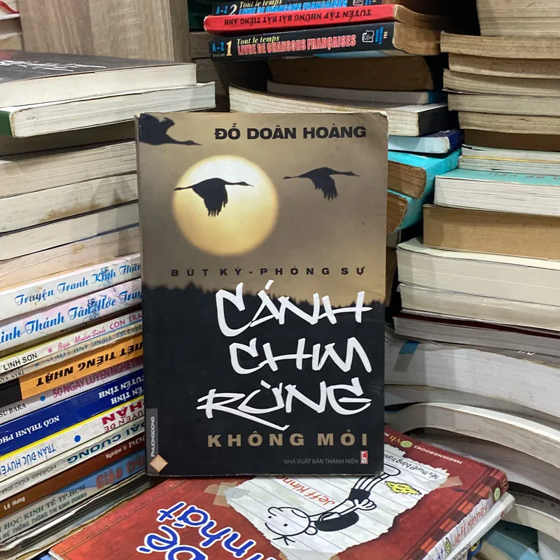 Cánh Chim Rừng Không Mỏi♟️ 739858