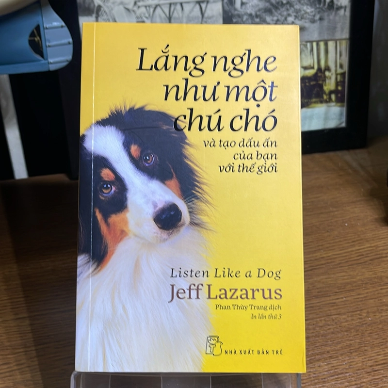 Lắng nghe như một chú chó Jeff Lazarus 504814