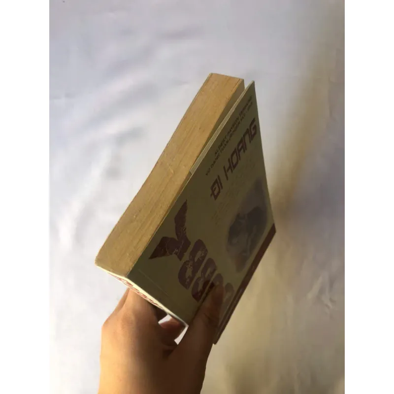 Bobby Đi Hoang | Albert Payson Terhune 799237