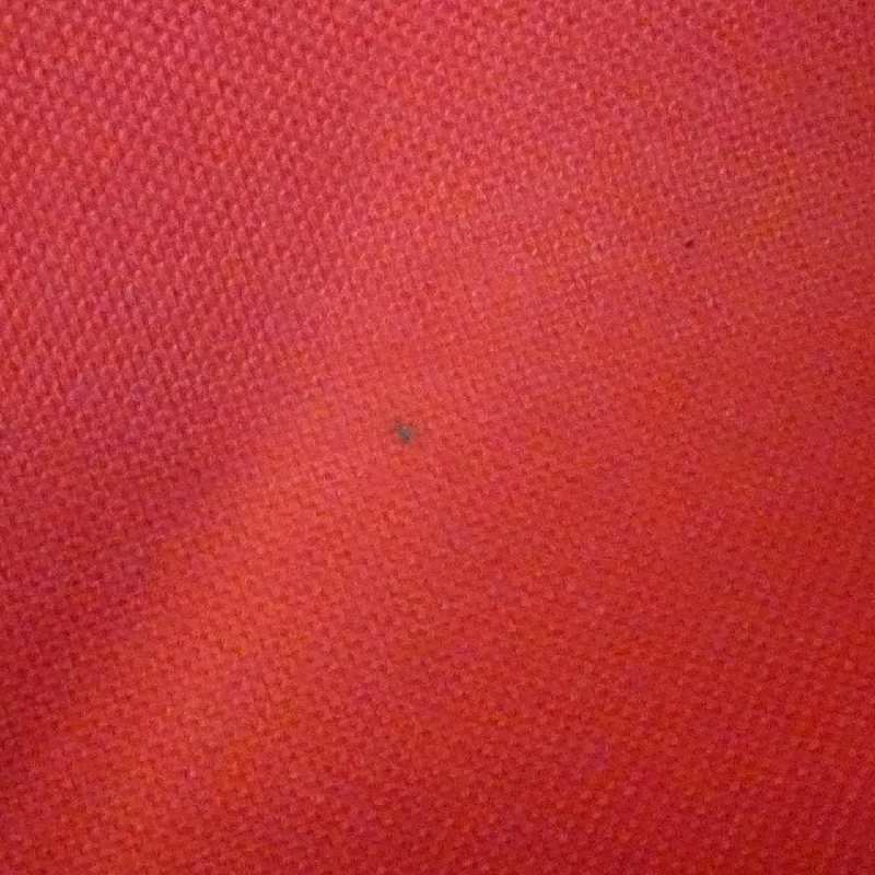 Túi xách vai Louis Vuitton Damier Eva N55213 - Hàng hiệu Chính hãng 802170