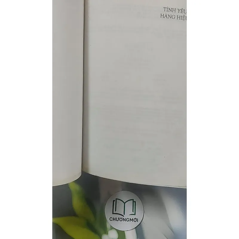 [MIỄN PHÍ BỌC SÁCH] Tình yêu hàng hiệu - Radha Chadha 688588