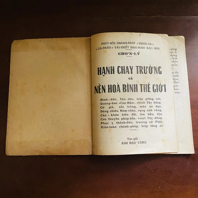 Hạnh chay trường và nền hoà bình thế giới (năm 1965)  723242