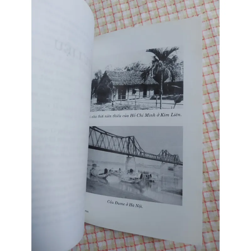 HỒ CHÍ MINH TỪ ĐÔNG DƯƠNG ĐẾN VIỆT NAM - DANIEL HÉMERY - Sách ít gặp 961622