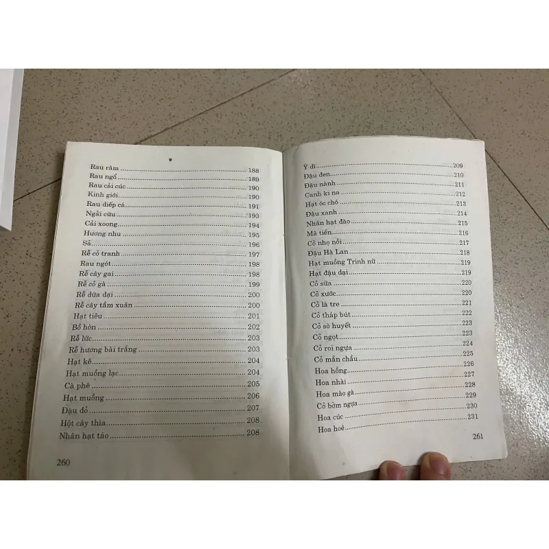 Chữa bệnh bằng cây lá quanh nhà 1022330