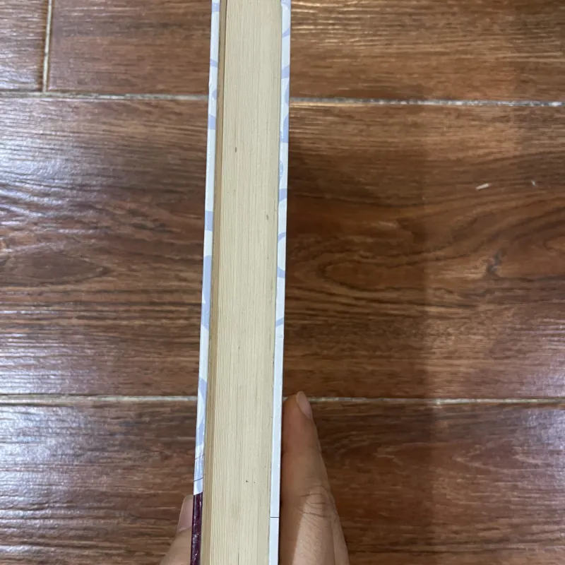 Lý Giải Tôn Giáo (B) 384631