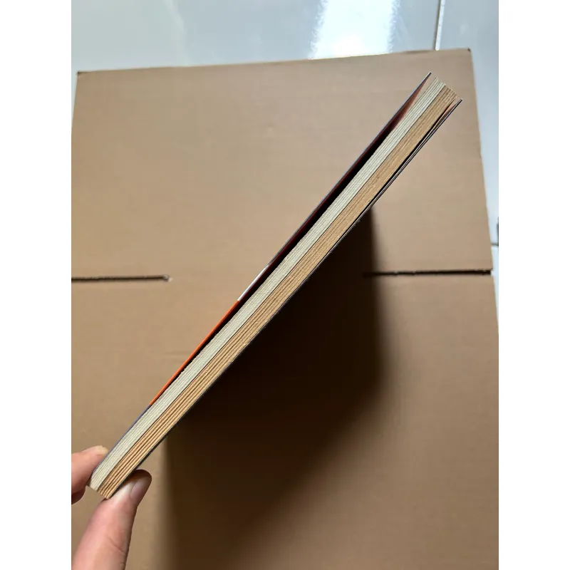 Đứng dậy mạnh mẽ - Nick Vujicic 751990