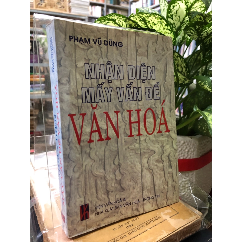 NHẬN DIỆN MẤY VẤN ĐỀ VĂN HOÁ - Phạm Vũ Dungx 463535