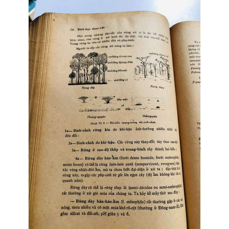 📚 SINH HỌC THỰC VẬT (Phạm Hoàng Hộ) 📚 503986