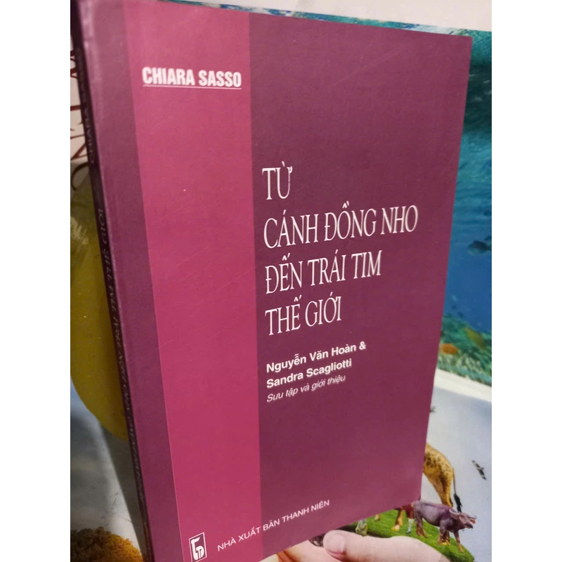 từ cánh đồng nho đến trái tim thế giới 499716